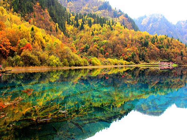 ＜九寨沟+黄龙+熊猫基地或三星堆双汽纯玩三日游＞环线东进西出，不走回头路