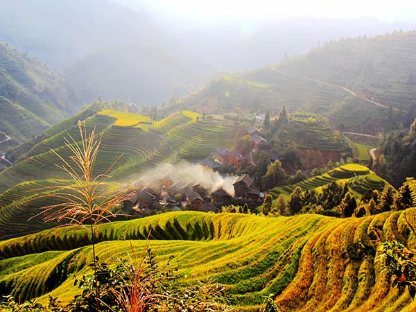 四川青旅2026年川藏拼车自驾系列